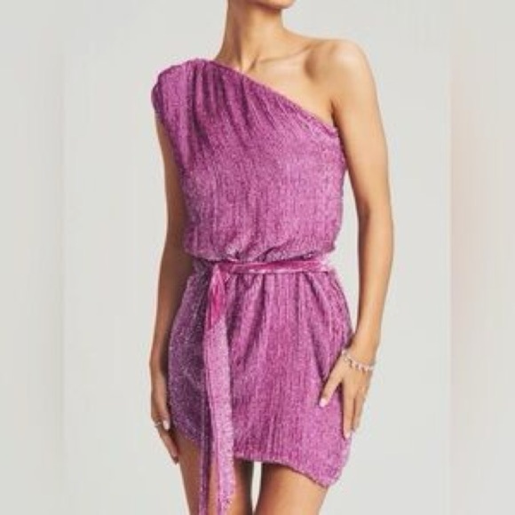 Gorgeous one shoulder sequin Retrofete lavender Ella Retrofete Dress, XS - Picture 4 of 8